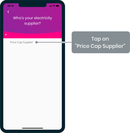 loop-price-cap-supplier-1